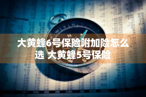 大黄蜂6号保险附加险怎么选 大黄蜂5号保险