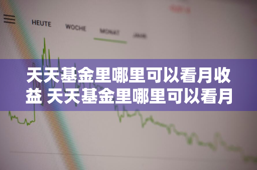 天天基金里哪里可以看月收益 天天基金里哪里可以看月收益