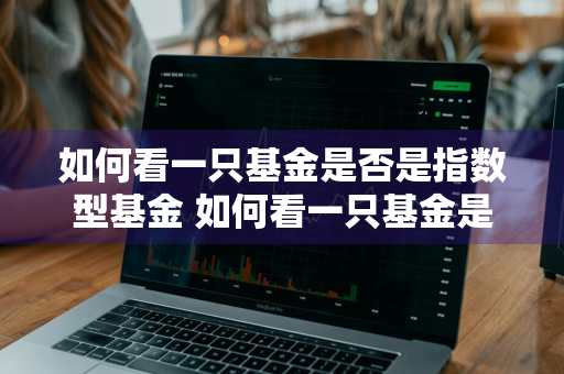 如何看一只基金是否是指数型基金 如何看一只基金是否是指数型基金呢