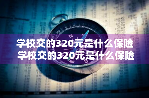 学校交的320元是什么保险 学校交的320元是什么保险啊