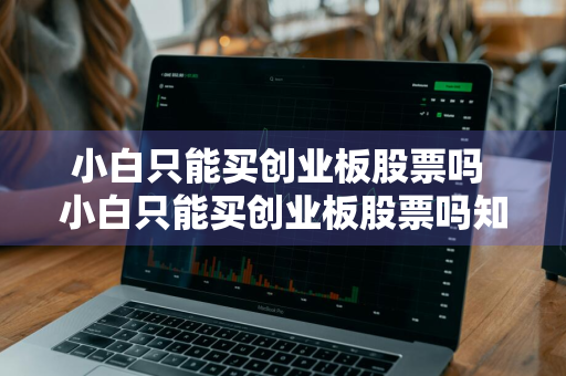 小白只能买创业板股票吗 小白只能买创业板股票吗知乎