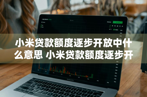 小米贷款额度逐步开放中什么意思 小米贷款额度逐步开放中什么意思啊
