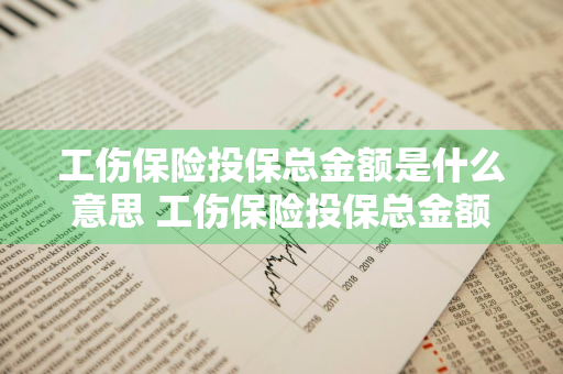 工伤保险投保总金额是什么意思 工伤保险投保总金额是什么意思啊