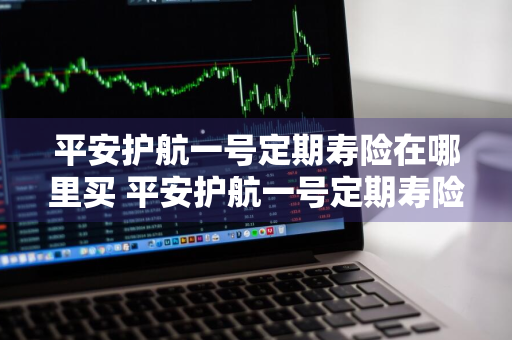 平安护航一号定期寿险在哪里买 平安护航一号定期寿险在哪里买呢
