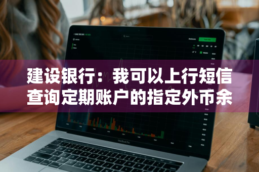 建设银行：我可以上行短信查询定期账户的指定外币余额和明细么 