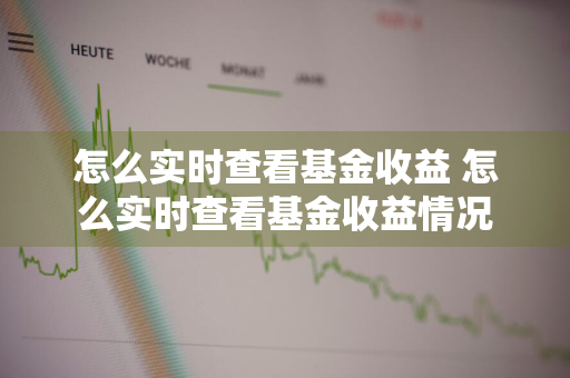 怎么实时查看基金收益 怎么实时查看基金收益情况