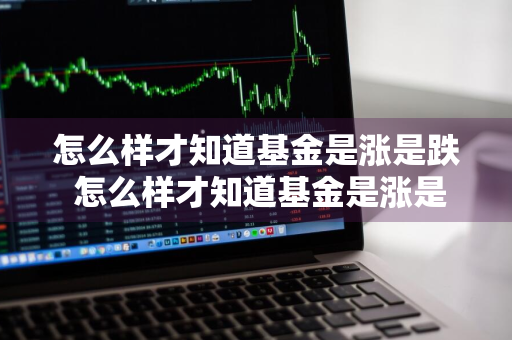 怎么样才知道基金是涨是跌 怎么样才知道基金是涨是跌呢