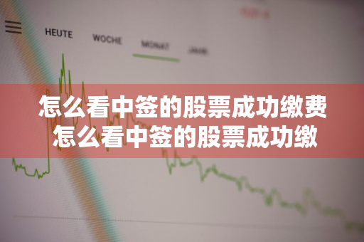 怎么看中签的股票成功缴费 怎么看中签的股票成功缴费记录
