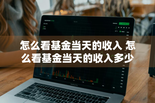 怎么看基金当天的收入 怎么看基金当天的收入多少