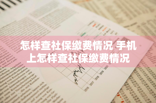 怎样查社保缴费情况 手机上怎样查社保缴费情况