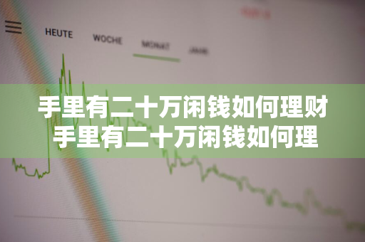 手里有二十万闲钱如何理财 手里有二十万闲钱如何理财呢
