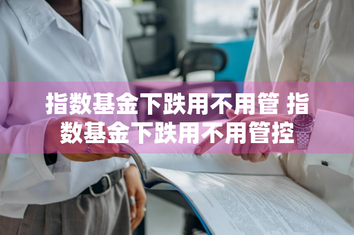 指数基金下跌用不用管 指数基金下跌用不用管控