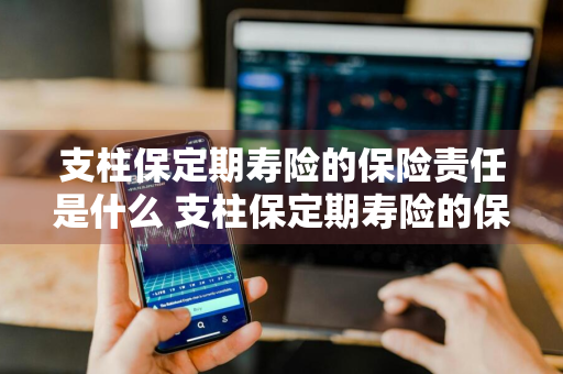 支柱保定期寿险的保险责任是什么 支柱保定期寿险的保险责任是什么意思