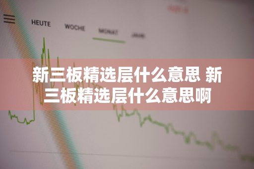 新三板精选层什么意思 新三板精选层什么意思啊