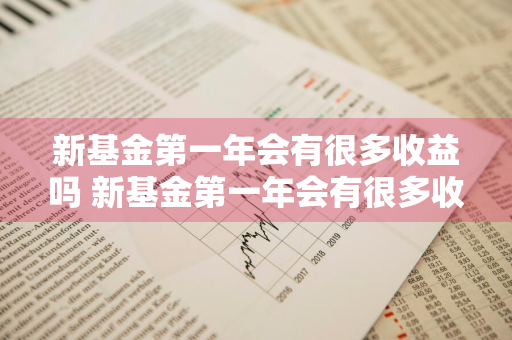 新基金第一年会有很多收益吗 新基金第一年会有很多收益吗知乎