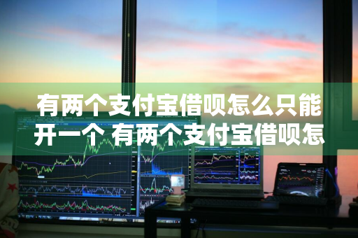 有两个支付宝借呗怎么只能开一个 有两个支付宝借呗怎么只能开一个借呗