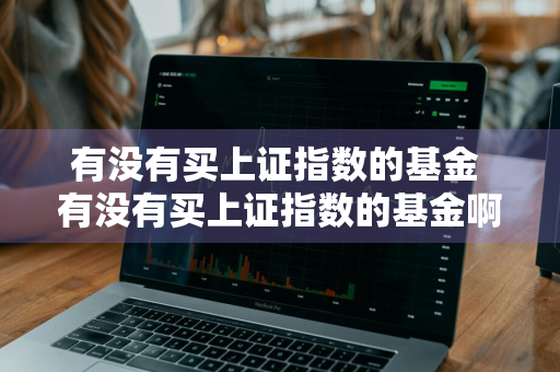 有没有买上证指数的基金 有没有买上证指数的基金啊