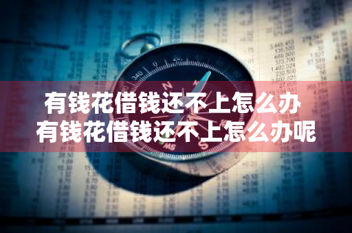 有钱花借钱还不上怎么办 有钱花借钱还不上怎么办呢