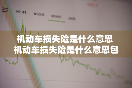 机动车损失险是什么意思 机动车损失险是什么意思包括哪些?
