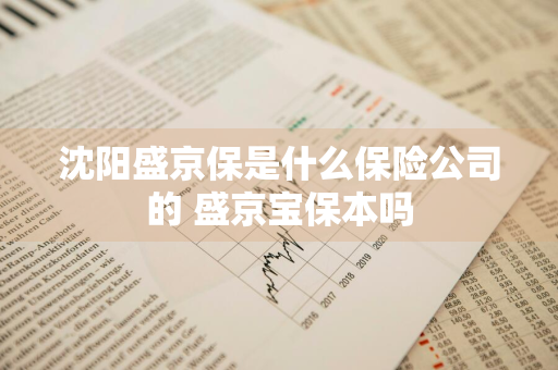 沈阳盛京保是什么保险公司的 盛京宝保本吗