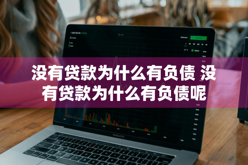 没有贷款为什么有负债 没有贷款为什么有负债呢