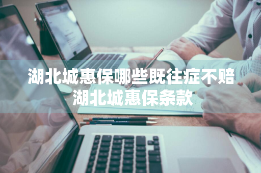 湖北城惠保哪些既往症不赔 湖北城惠保条款