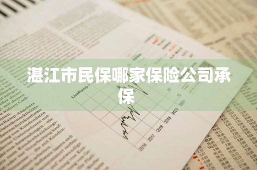 湛江市民保哪家保险公司承保 