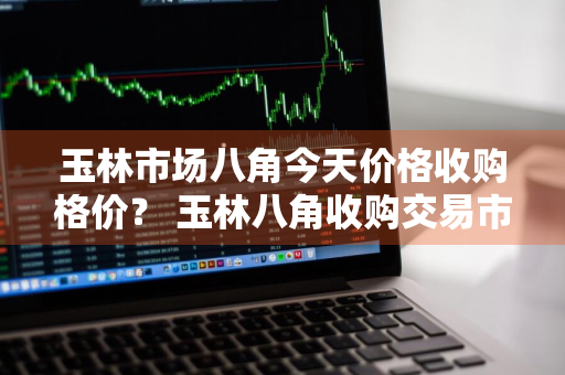 玉林市场八角今天价格收购格价？ 玉林八角收购交易市场