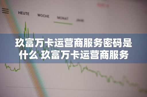 玖富万卡运营商服务密码是什么 玖富万卡运营商服务密码是什么意思