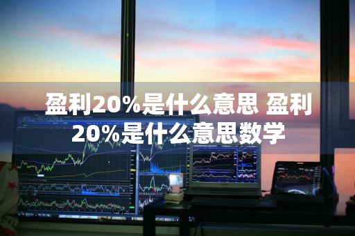 盈利20%是什么意思 盈利20%是什么意思数学