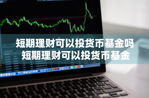 短期理财可以投货币基金吗 短期理财可以投货币基金吗安全吗