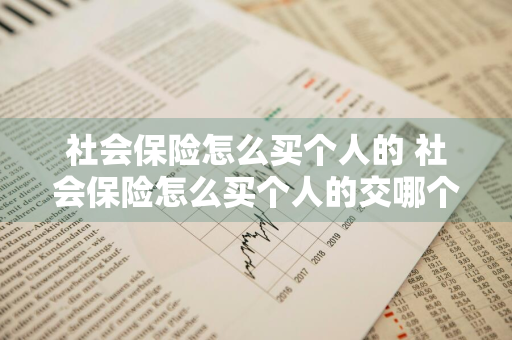 社会保险怎么买个人的 社会保险怎么买个人的交哪个档位