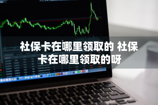 社保卡在哪里领取的 社保卡在哪里领取的呀