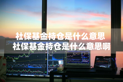 社保基金持仓是什么意思 社保基金持仓是什么意思啊