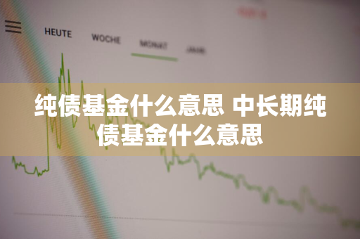 纯债基金什么意思 中长期纯债基金什么意思