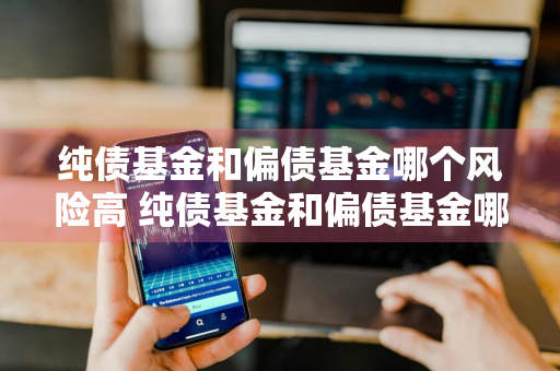 纯债基金和偏债基金哪个风险高 纯债基金和偏债基金哪个风险高些