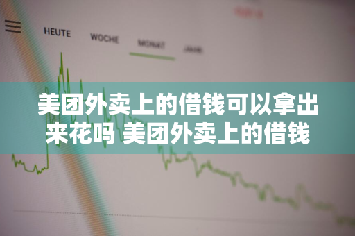 美团外卖上的借钱可以拿出来花吗 美团外卖上的借钱可以拿出来花吗