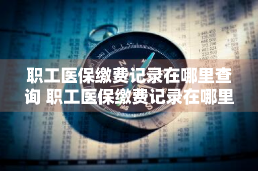 职工医保缴费记录在哪里查询 职工医保缴费记录在哪里查询2023