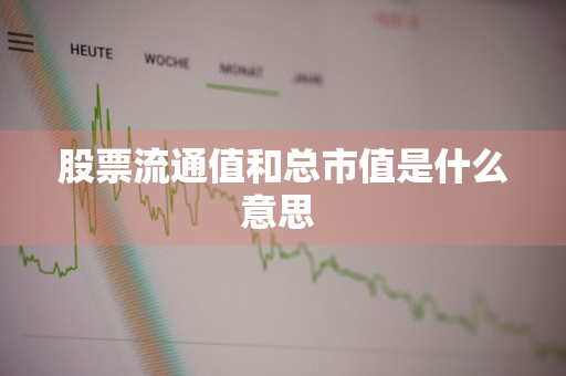 股票流通值和总市值是什么意思 