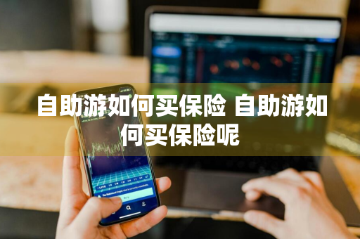 自助游如何买保险 自助游如何买保险呢