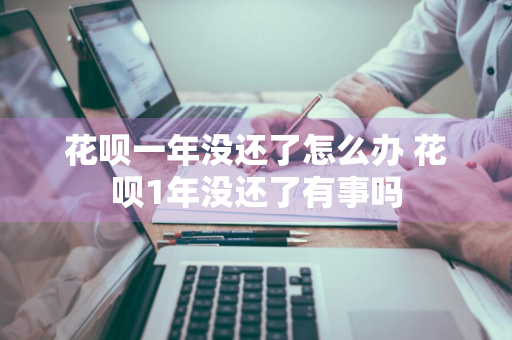 花呗一年没还了怎么办 花呗1年没还了有事吗
