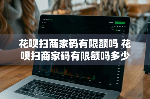 花呗扫商家码有限额吗 花呗扫商家码有限额吗多少
