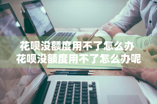 花呗没额度用不了怎么办 花呗没额度用不了怎么办呢