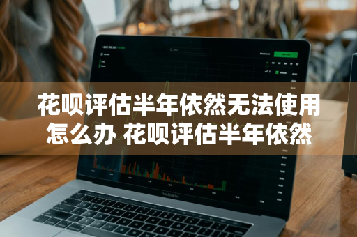 花呗评估半年依然无法使用怎么办 花呗评估半年依然无法使用怎么办呢