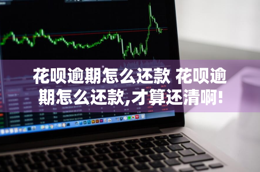 花呗逾期怎么还款 花呗逾期怎么还款,才算还清啊!