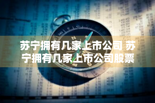 苏宁拥有几家上市公司 苏宁拥有几家上市公司股票