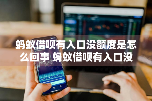 蚂蚁借呗有入口没额度是怎么回事 蚂蚁借呗有入口没额度是怎么回事啊