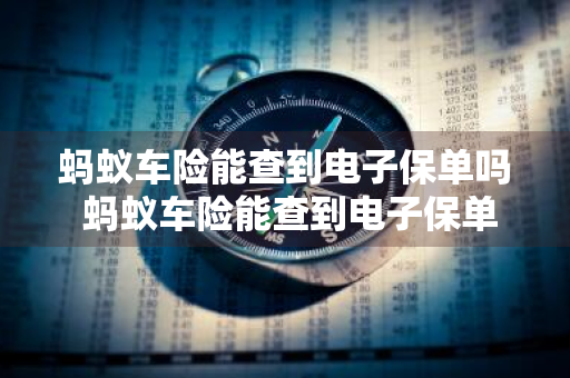 蚂蚁车险能查到电子保单吗 蚂蚁车险能查到电子保单吗怎么查