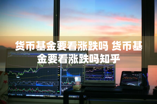 货币基金要看涨跌吗 货币基金要看涨跌吗知乎