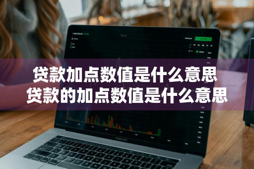 贷款加点数值是什么意思 贷款的加点数值是什么意思